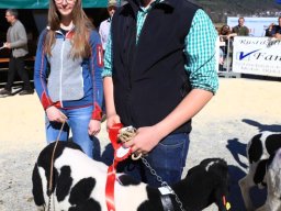 2019_ausstellung polling_573